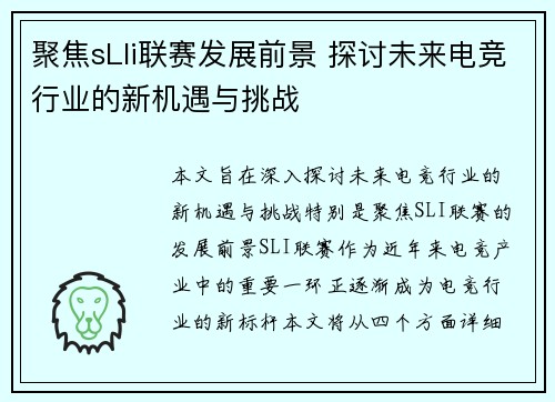 聚焦sLli联赛发展前景 探讨未来电竞行业的新机遇与挑战